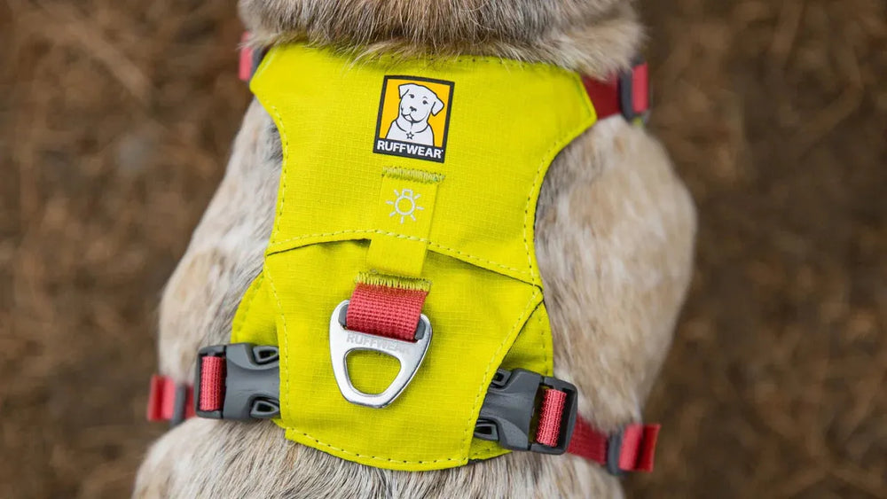Gelbes Hi Light™ Hundegeschirr mit roten Elementen und reflektierender Kennzeichnung, D-Ring hinten für Stabilität.