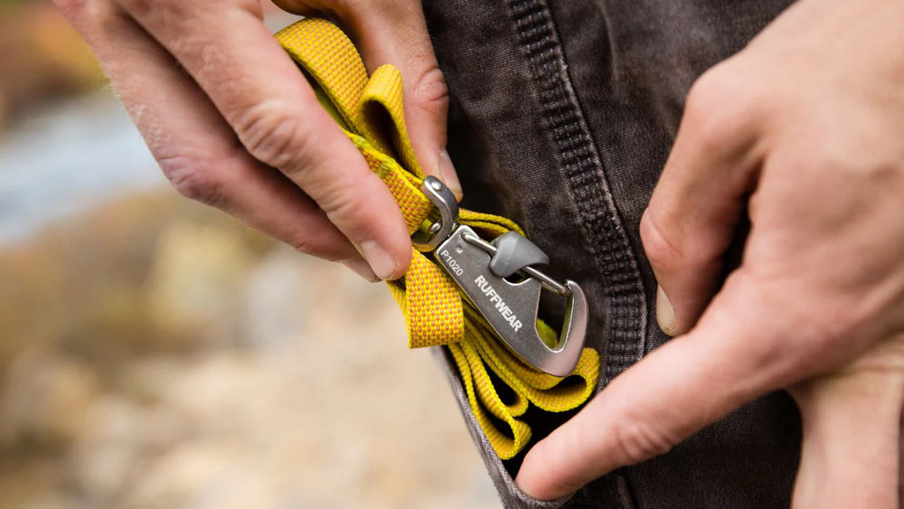 Person befestigt einen gelben Karabinerhaken von RUFFWEAR an einer leichten Hundeleine.
