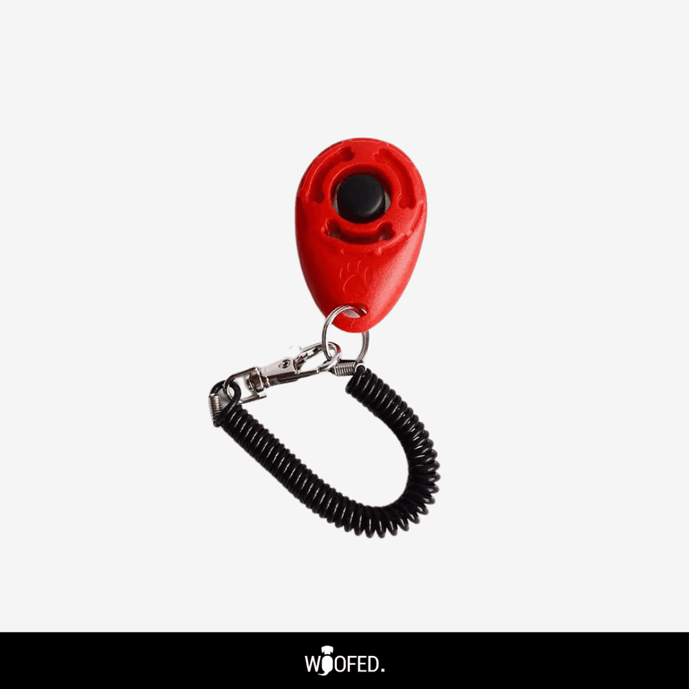Roter Hunde Clicker mit schwarzem Druckknopf, Gummischlaufe und Clip für bequemes Training.