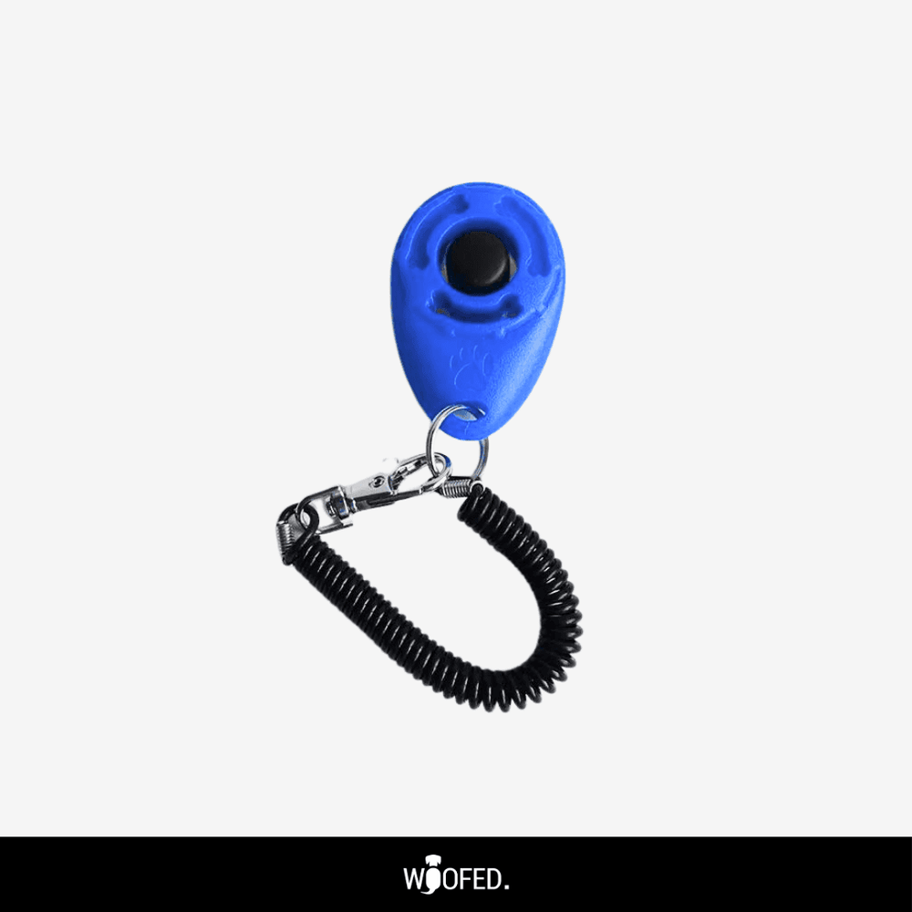 Blauer Clicker mit zentralem Druckknopf und schwarzem Spiral-Clip für Hundetraining.