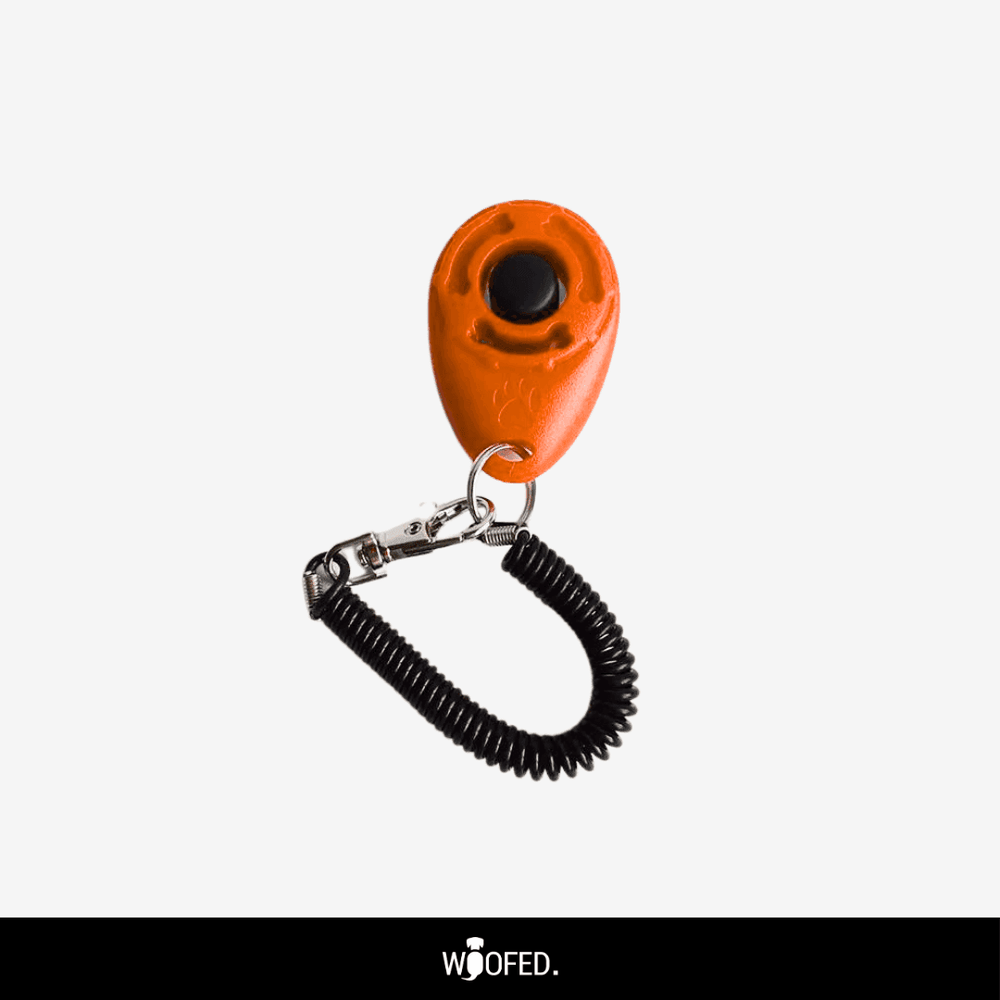 Oranger Hunde-Clicker mit schwarzer Taste, befestigt an einer Spiralschnur und Schlüsselring, ideal für Tiertraining.