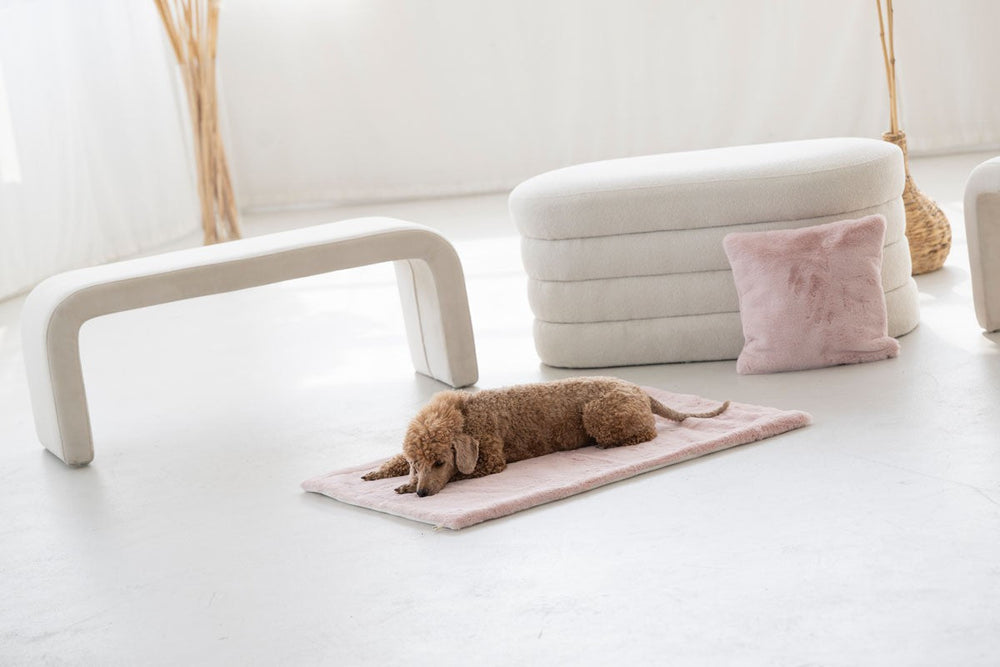 Hund entspannt auf rosafarbener Hundedecke, umgeben von modernem Dekor in einem hellen Raum.