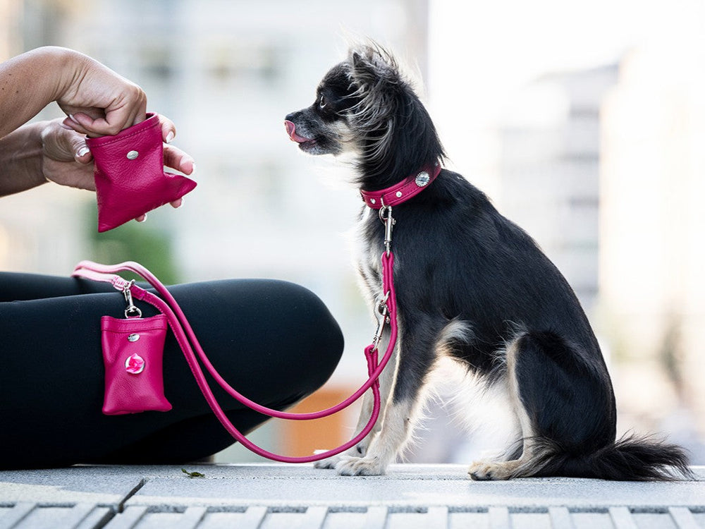 Eine Person mit einem kleinen schwarzen Hund an einer pinken Leine und einem pinken Hundekotbeutelspender in der Hand.