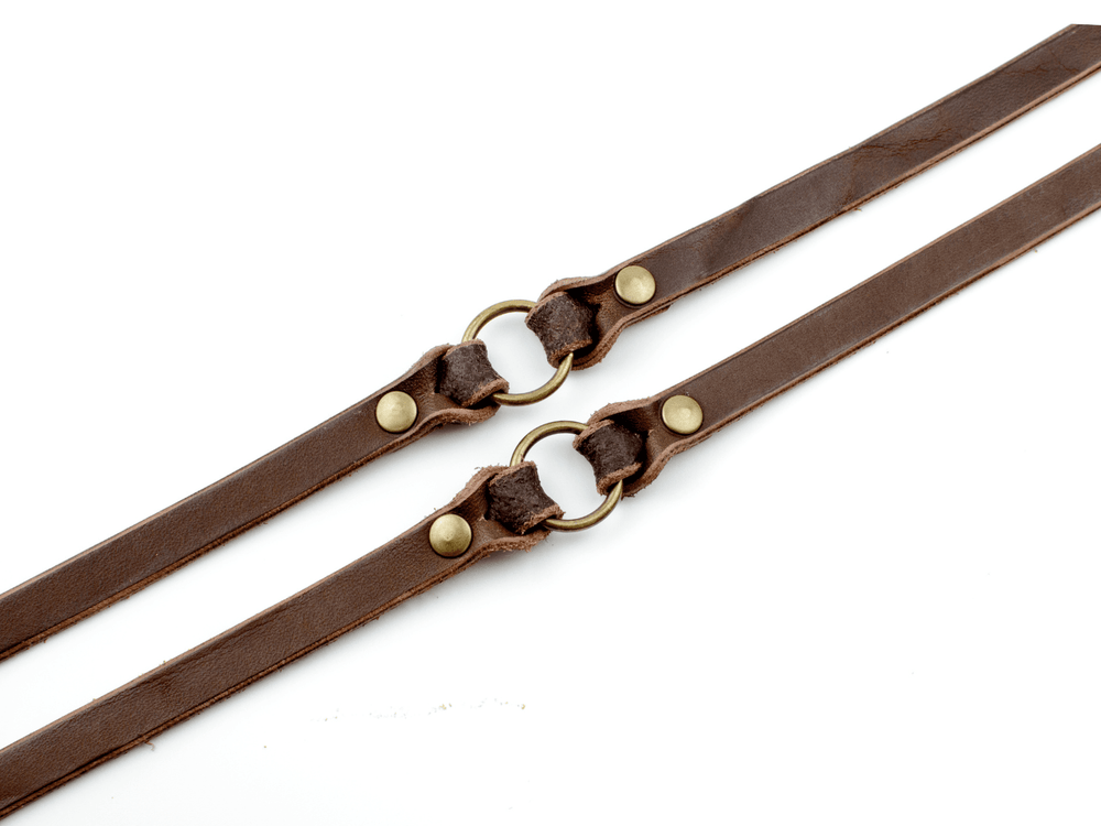 Braune Lederleine mit goldfarbenen Ringen, ideal für Spaziergänge im Freien. Hochwertige Verarbeitung und stilvolles Design.