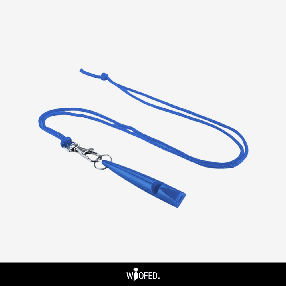 Blaue Hundepfeife aus Kunststoff mit Schlüsselring und langem Halsband, ideal für das Hundetraining.