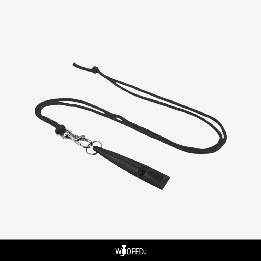 Schwarze Hundepfeife mit Kordelzug und Karabiner, befestigt an einem geflochtenen Halsband für das Hundetraining.