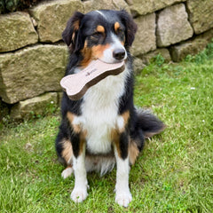 Hund mit schwarz-braunem Fell hält ein natürliches Knochenspielzeug im Maul, sitzt auf grünem Gras.