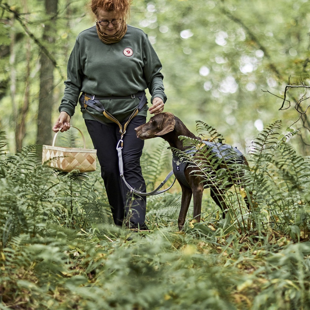 Gürteltasche Expedition Belt ECO bei Waldspaziergang mit Hund und Korb, Person im grünen Pullover, umgeben von Farnen.