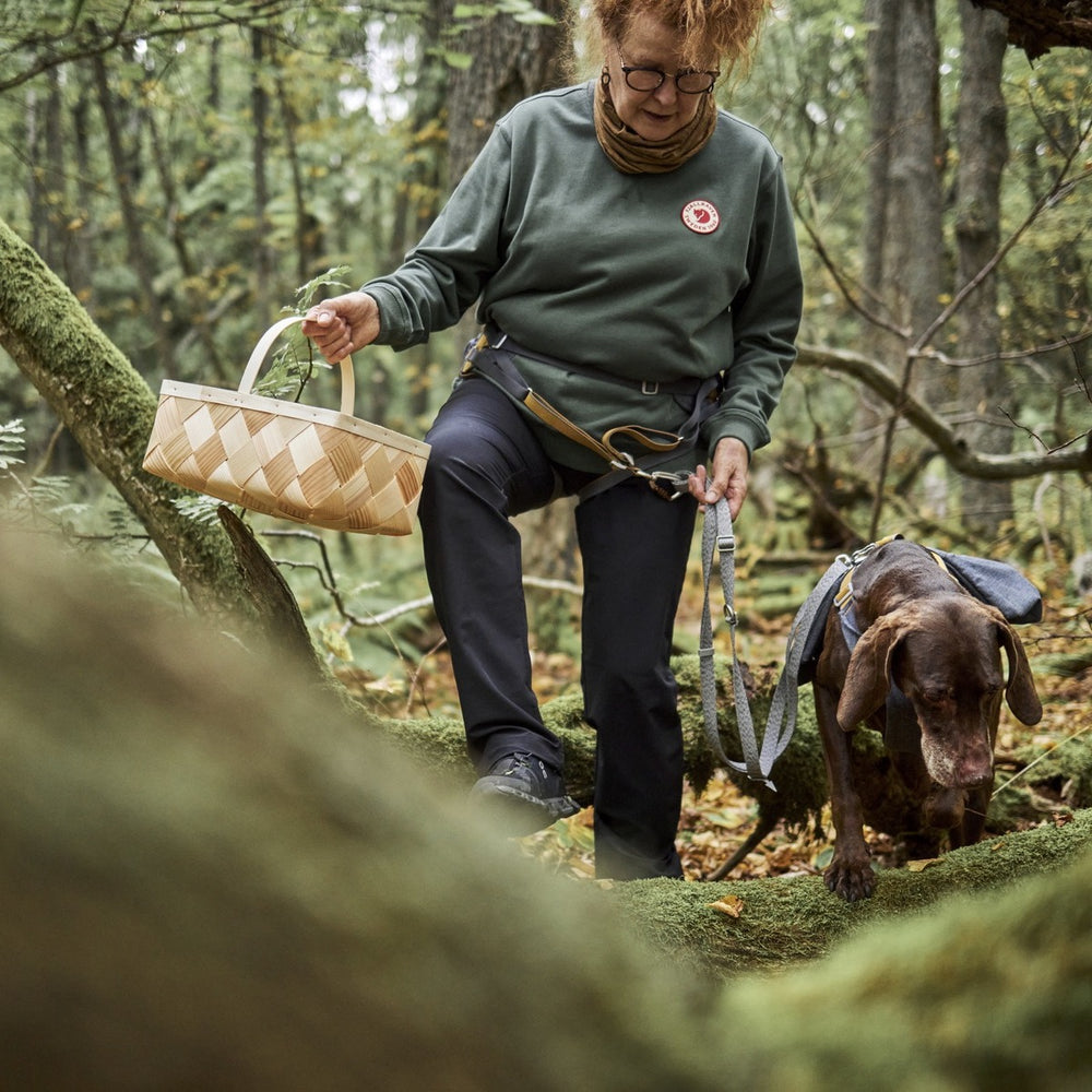Person mit Gürteltasche Expedition Belt ECO wandert durch Wald mit Hund auf moosbewachsenem Pfad, grüner Pullover, dunkle Hose.