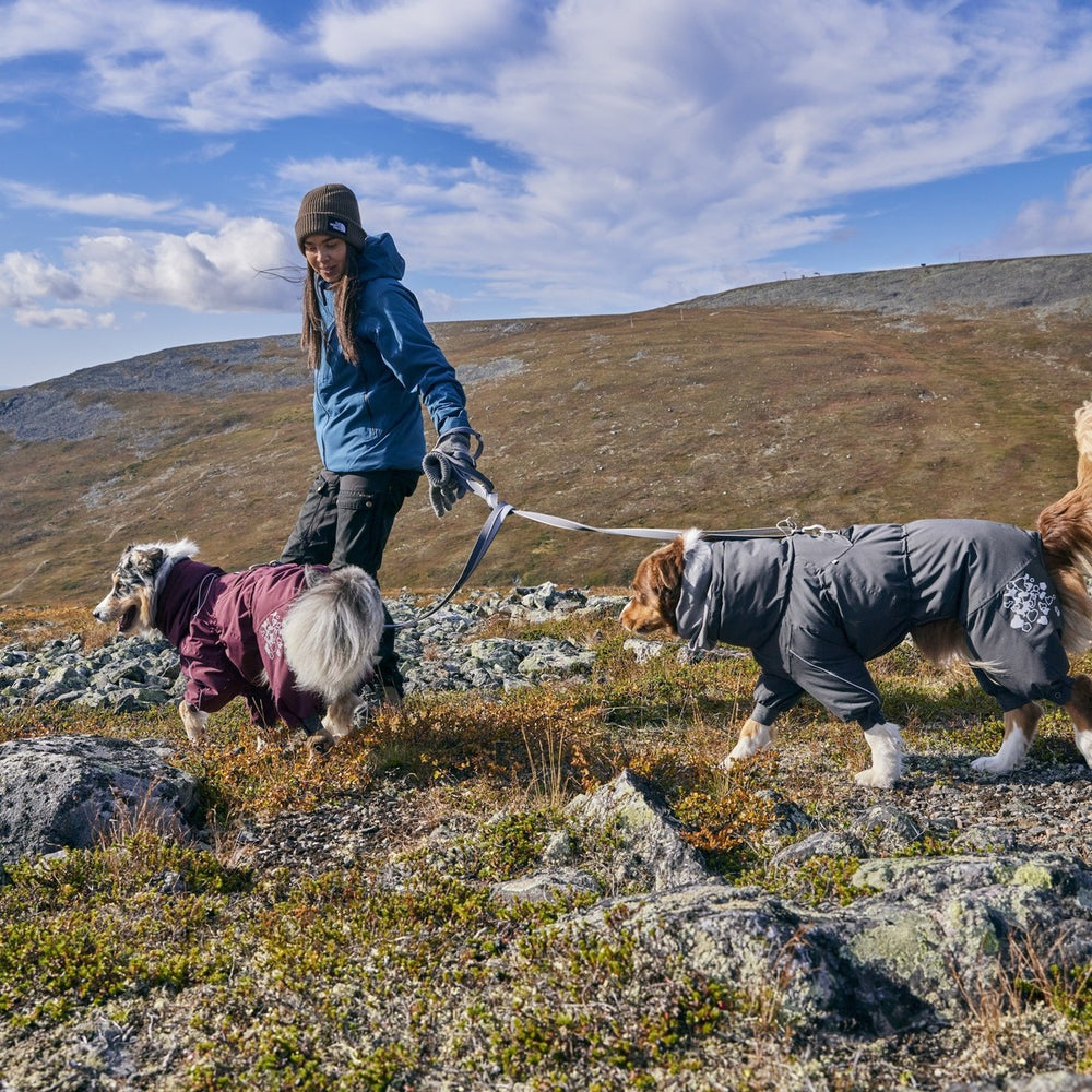 Hunde im Winter-Overall beim Spaziergang durch kühle, felsige Landschaft mit Wolken am Himmel. Perfekte Hundebekleidung für kaltes Wetter.