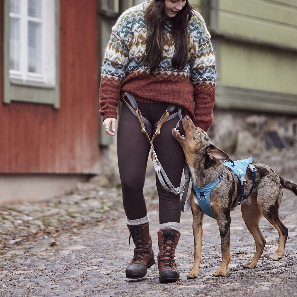Person mit gemustertem Pullover führt Hund mit blauem Safeguard Harness ECO auf Kopfsteinpflasterweg.
