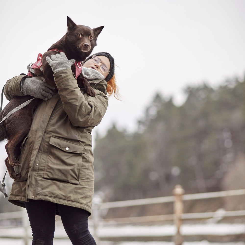Mittelgroßer brauner Hund mit rosa Geschirr Safeguard Harness ECO, im Freien mit einer Person bei bewölktem Himmel und Bäumen im Hintergrund.