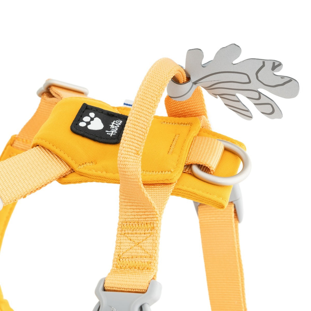 Gelbes Hundegeschirr Seeker mit verstellbaren Riemen, Leinenring und dekorativem Blatt-Element aus robustem Stoff.