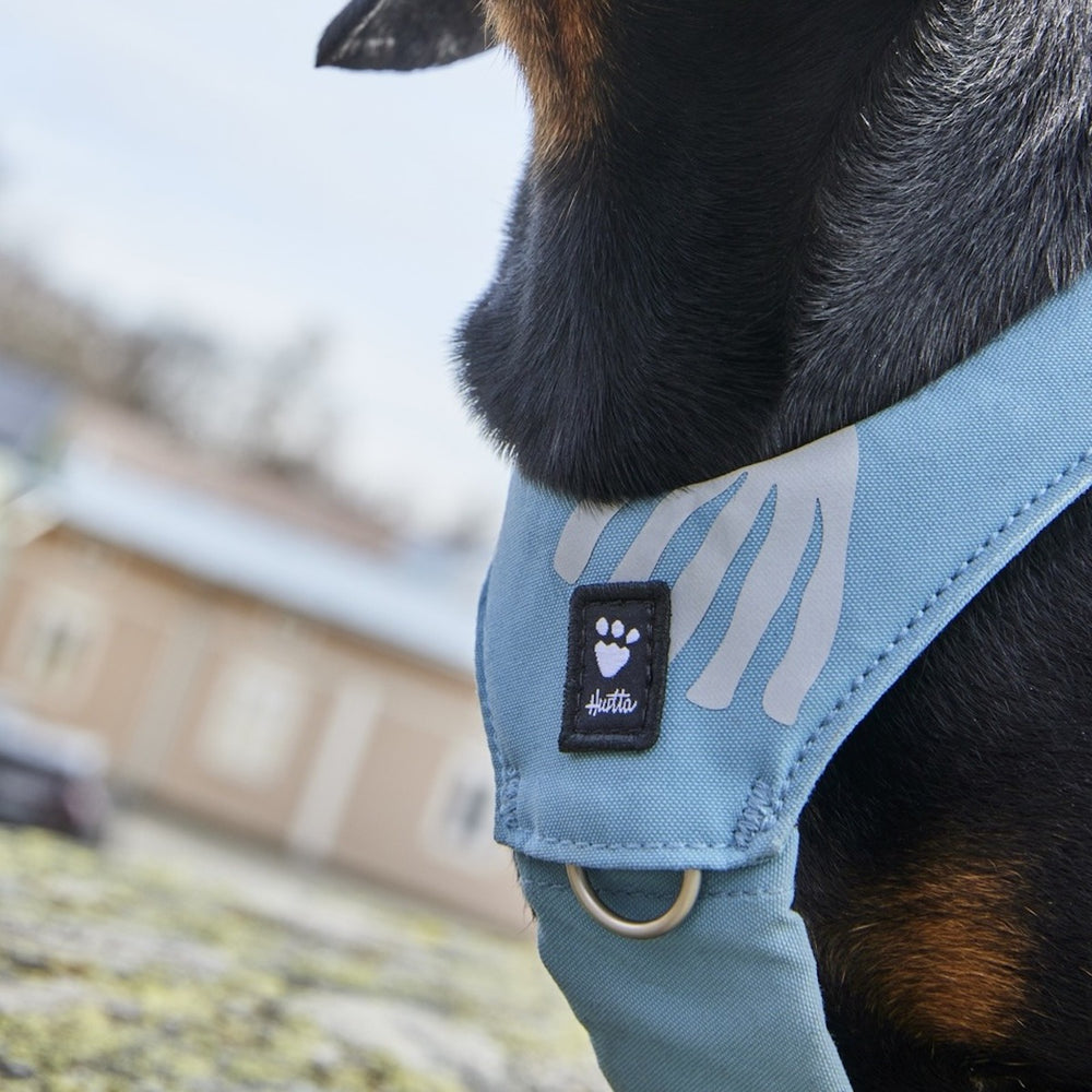 Hund mit blaufarbenem Geschirr und Pfotenabdruck-Design vor unscharfen Gebäuden im Hintergrund.