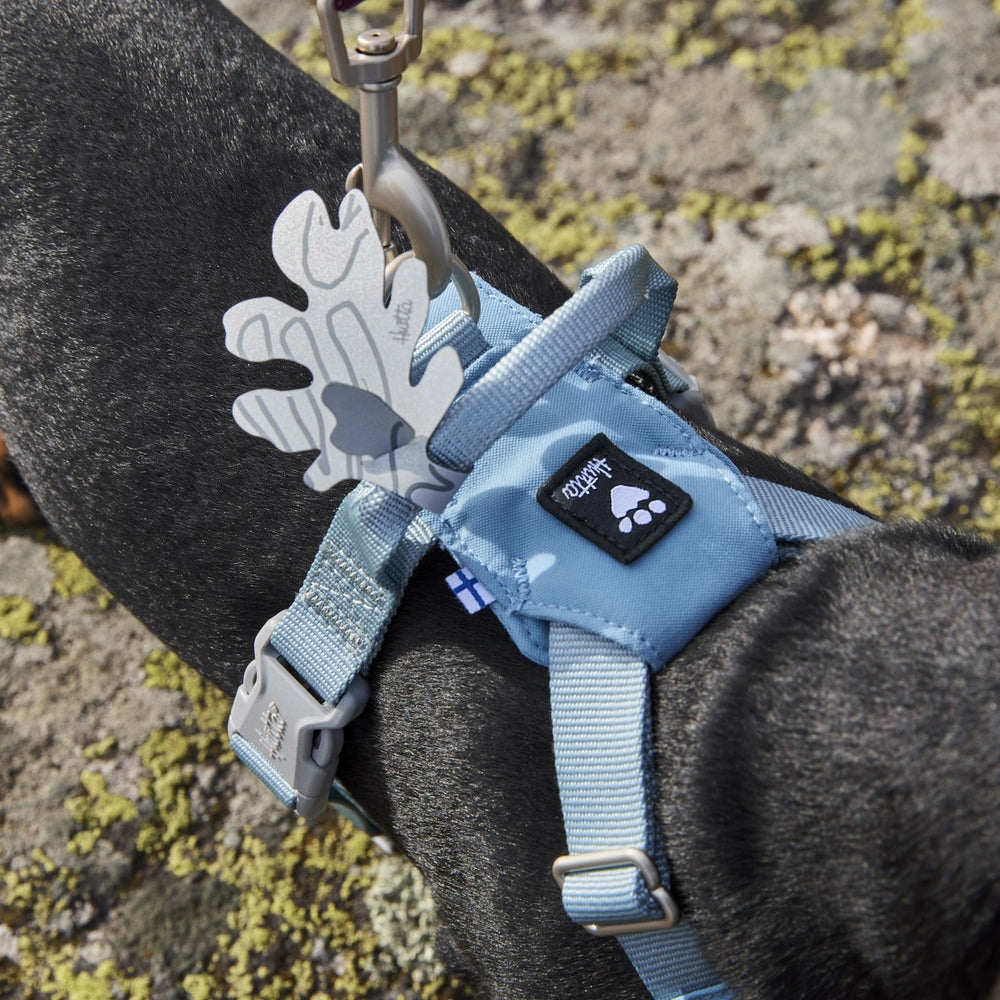 Blaues Hundegeschirr Seeker mit Karabiner am Hund, Etikett sichtbar, ideal für sicheren Spaziergang.