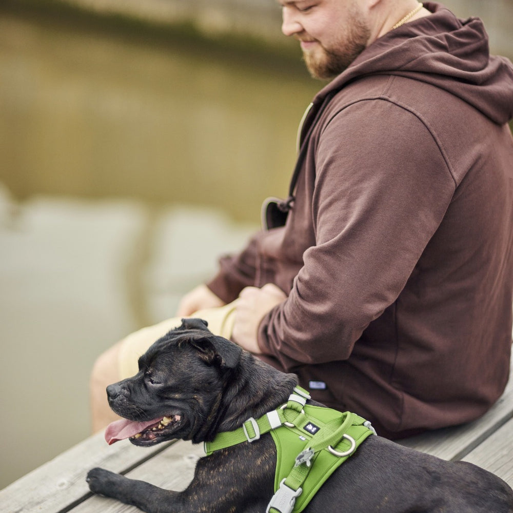 Mann im braunen Hoodie mit schwarzem Hund in grünem Hundegeschirr Weekend Warrior Harness II auf Holzsteg am Wasser.