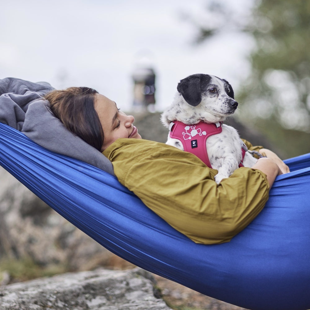Hund mit pinkem Hundegeschirr Weekend Warrior Harness II Neon in der Natur, in blauer Hängematte liegend.
