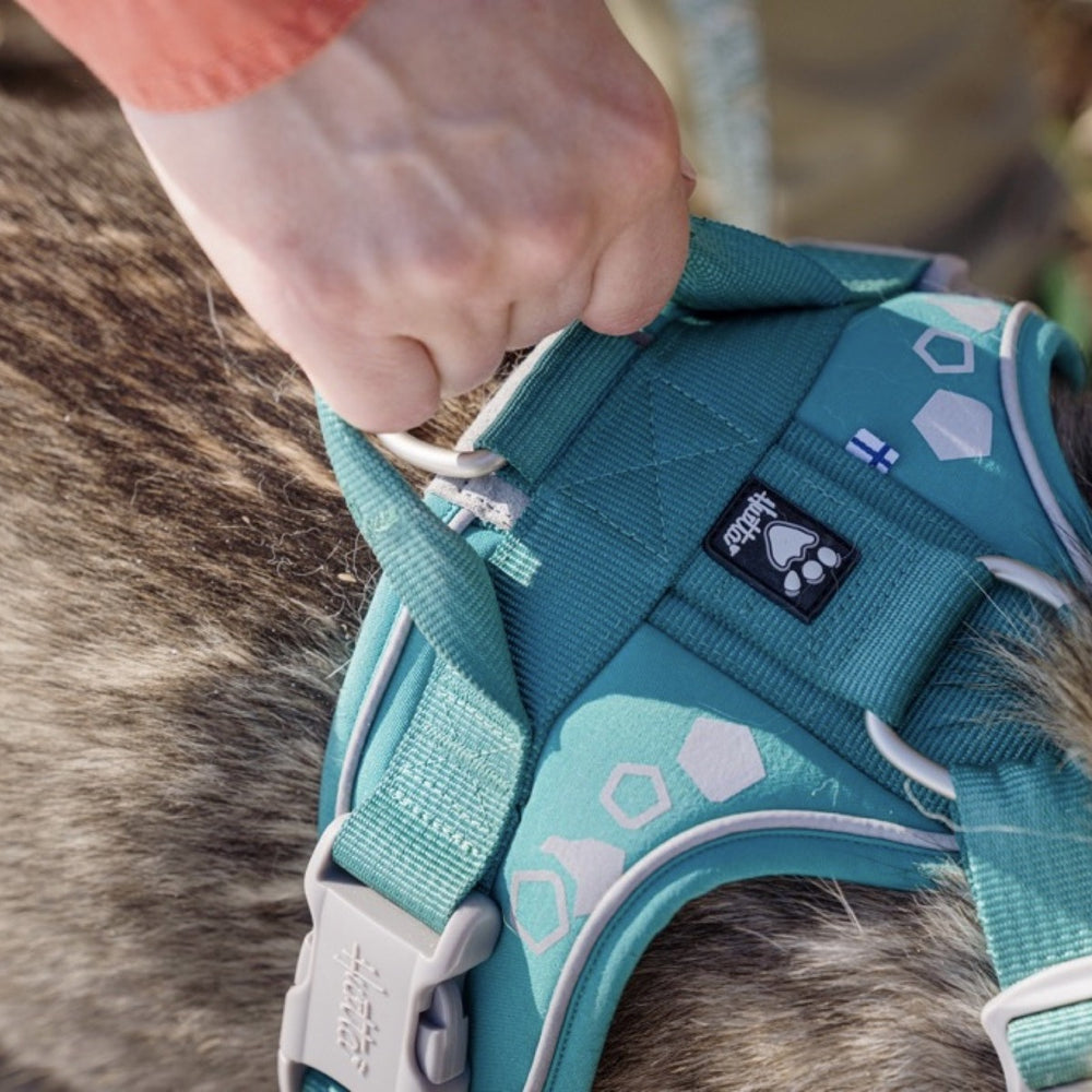 Grünes Hundegeschirr Weekend Warrior mit hexagonalen Mustern, D-Ringen, Pfoten-Logo und Flaggen-Aufsatz, von Hand gehalten.