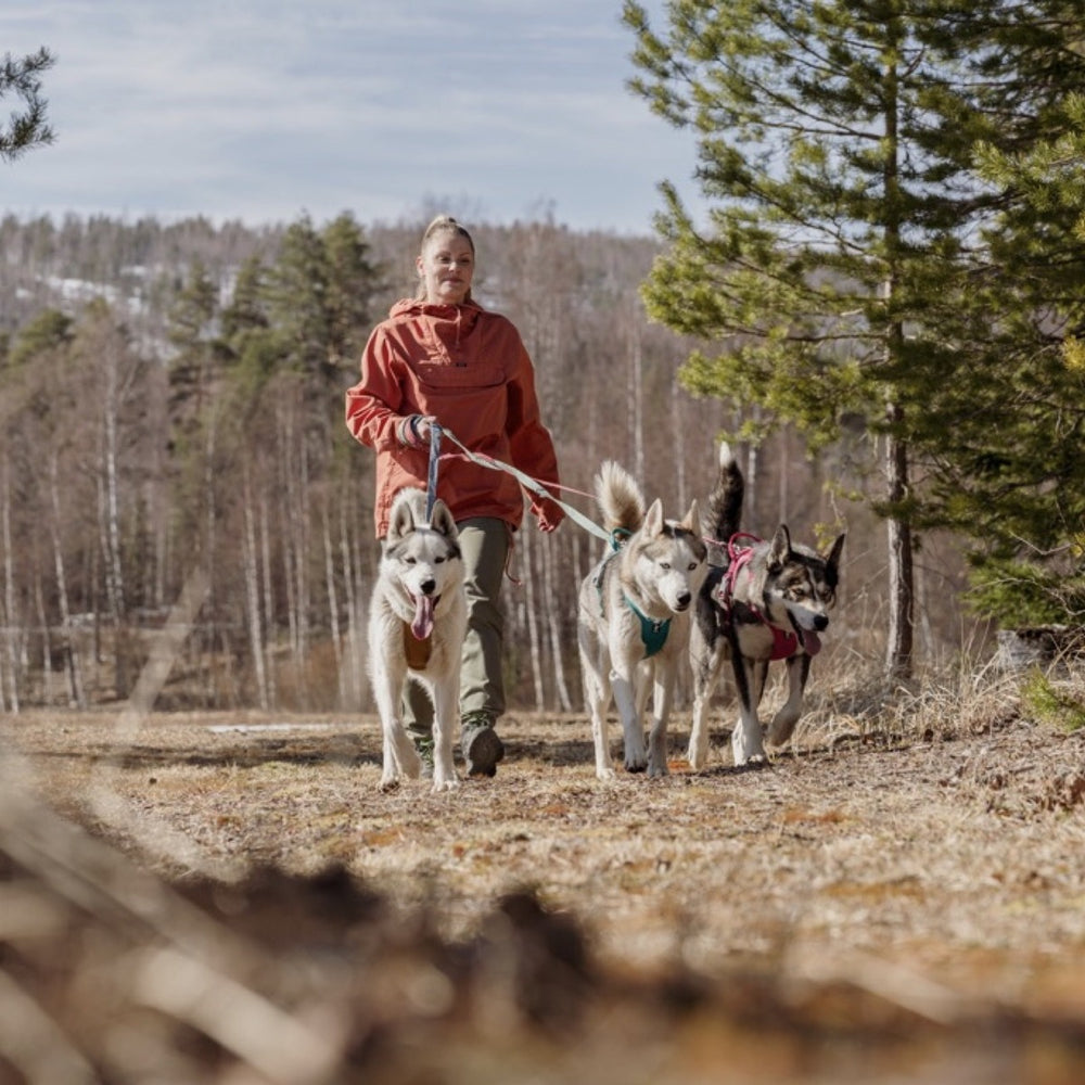 Person mit Hundegeschirr Weekend Warrior im Wald, spaziert mit drei Hunden an Leinen auf einem Pfad, orangene Jacke trägt.