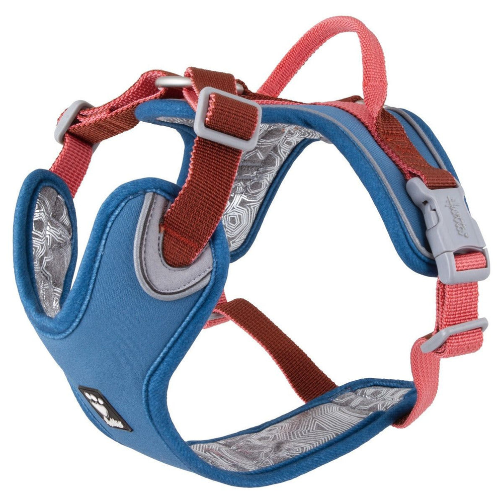 Hundegeschirr Weekend Warrior in Blau-Rot, gepolstert, verstellbare Gurte, Griff und Musterdesign, ideal für aktive Hunde