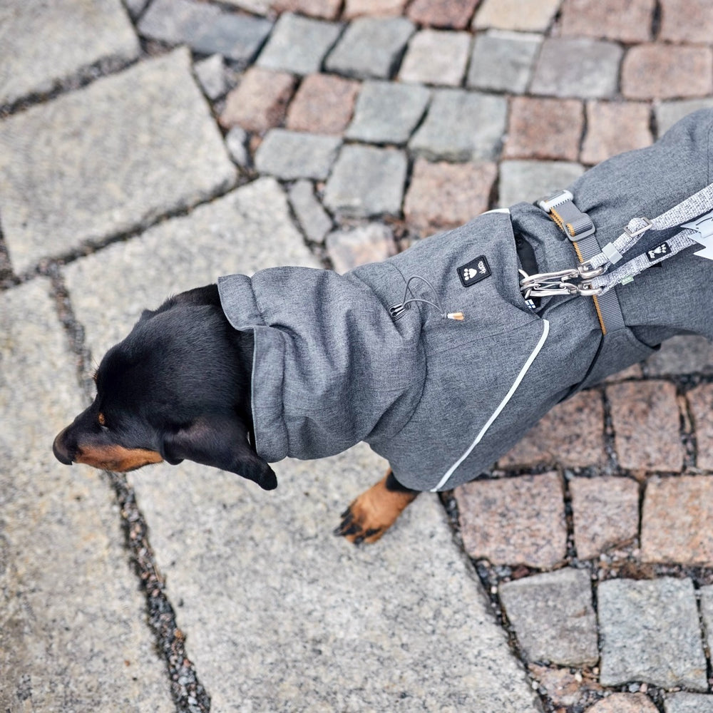 Hund trägt graue Hundejacke Expedition Parka II mit reflektierenden Elementen und Pfoten-Logo auf einem gepflasterten Weg.