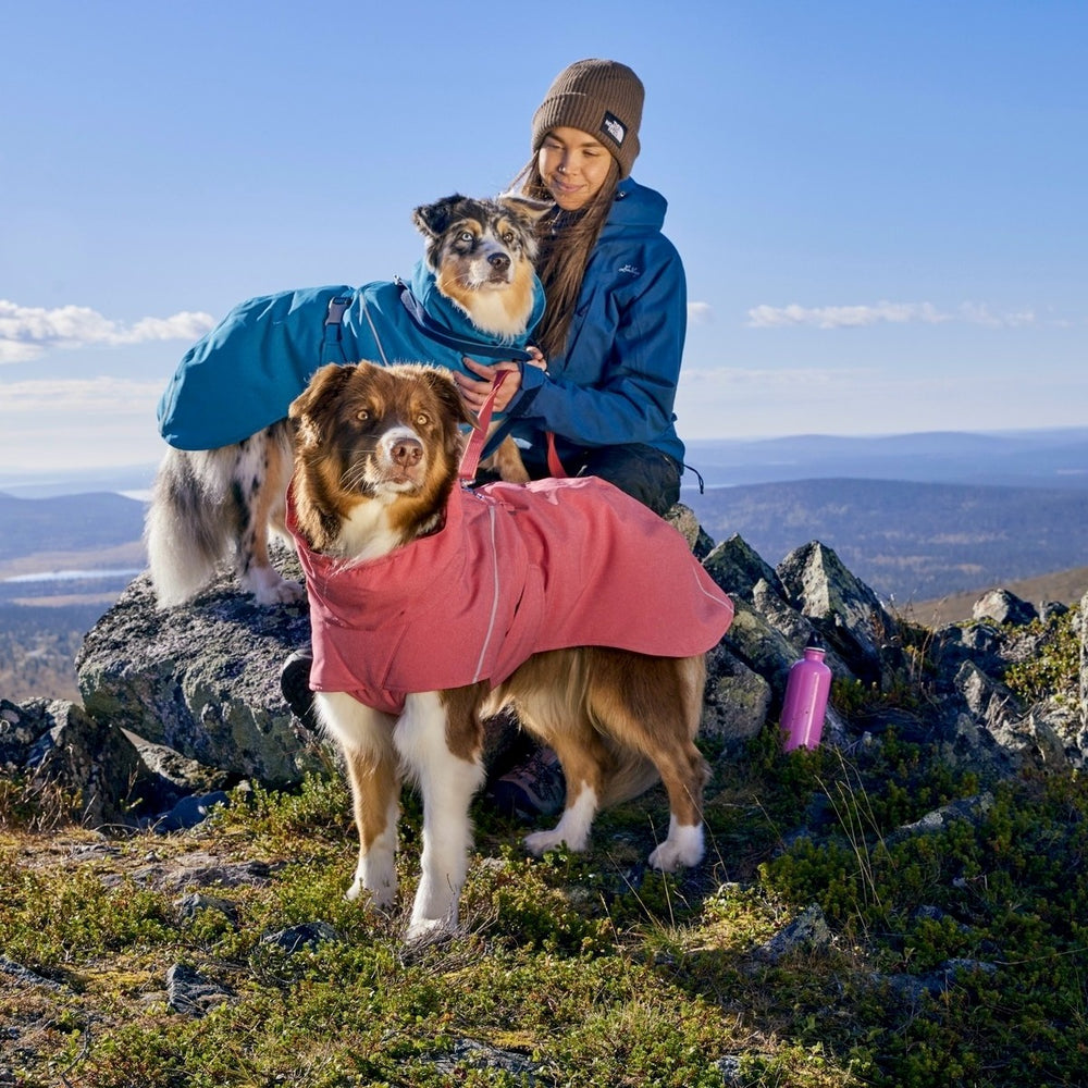 Hunde im Expedition Parka II auf felsigem Hügel mit Person in blauer Jacke, rosa Trinkbehälter und weitem Landschaftsausblick.