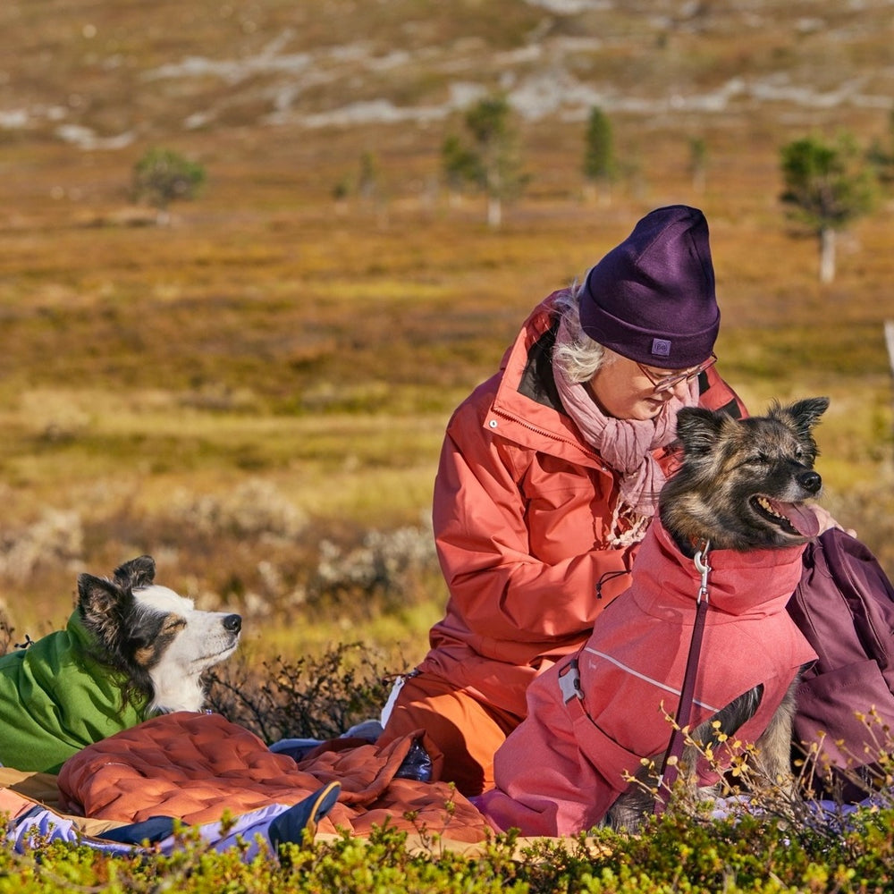 Person in orangefarbener Jacke mit zwei Hunden in bunten Mänteln in herbstlicher Landschaft. Hundejacke Expedition Parka II.