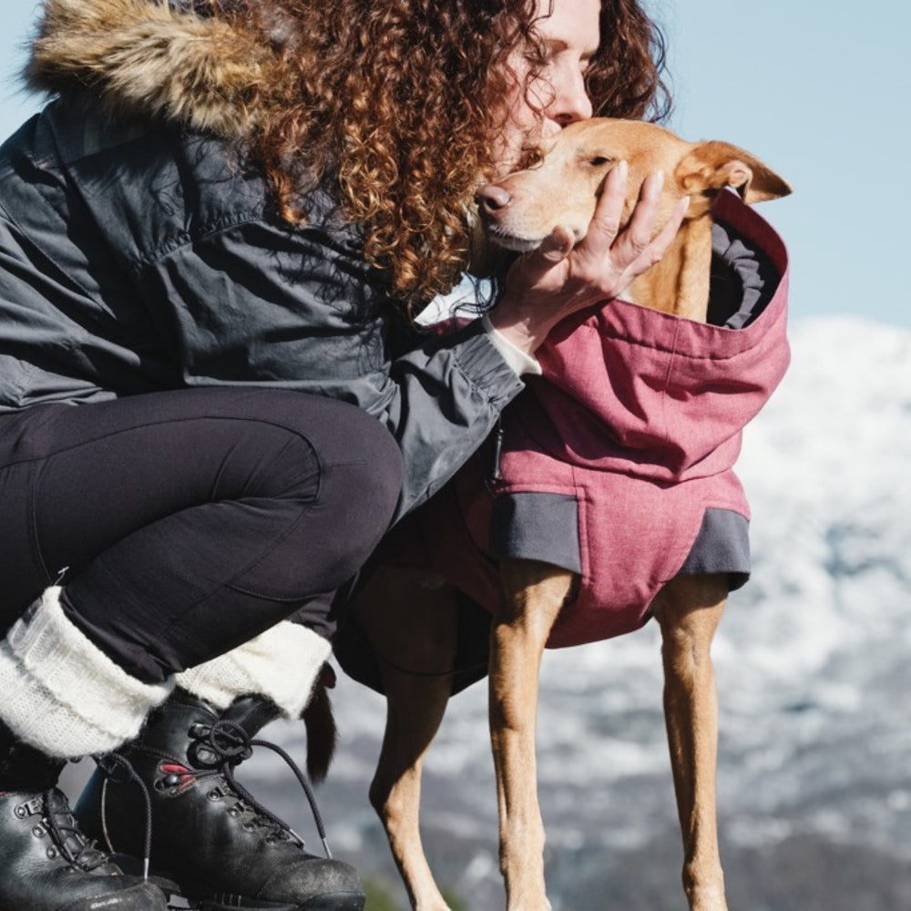 Hund im roten Parka vor schneebedeckten Bergen mit Person in Outdoor-Kleidung. Perfekte Hundejacke für winterliche Expeditionen.