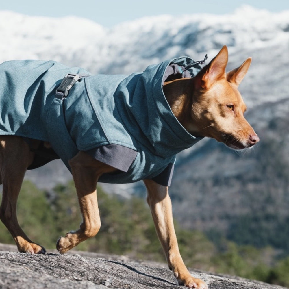 Hundejacke Expedition Parka in Blau auf Hund in felsiger Landschaft, schneebedeckte Berge im Hintergrund, bewölkter Himmel.