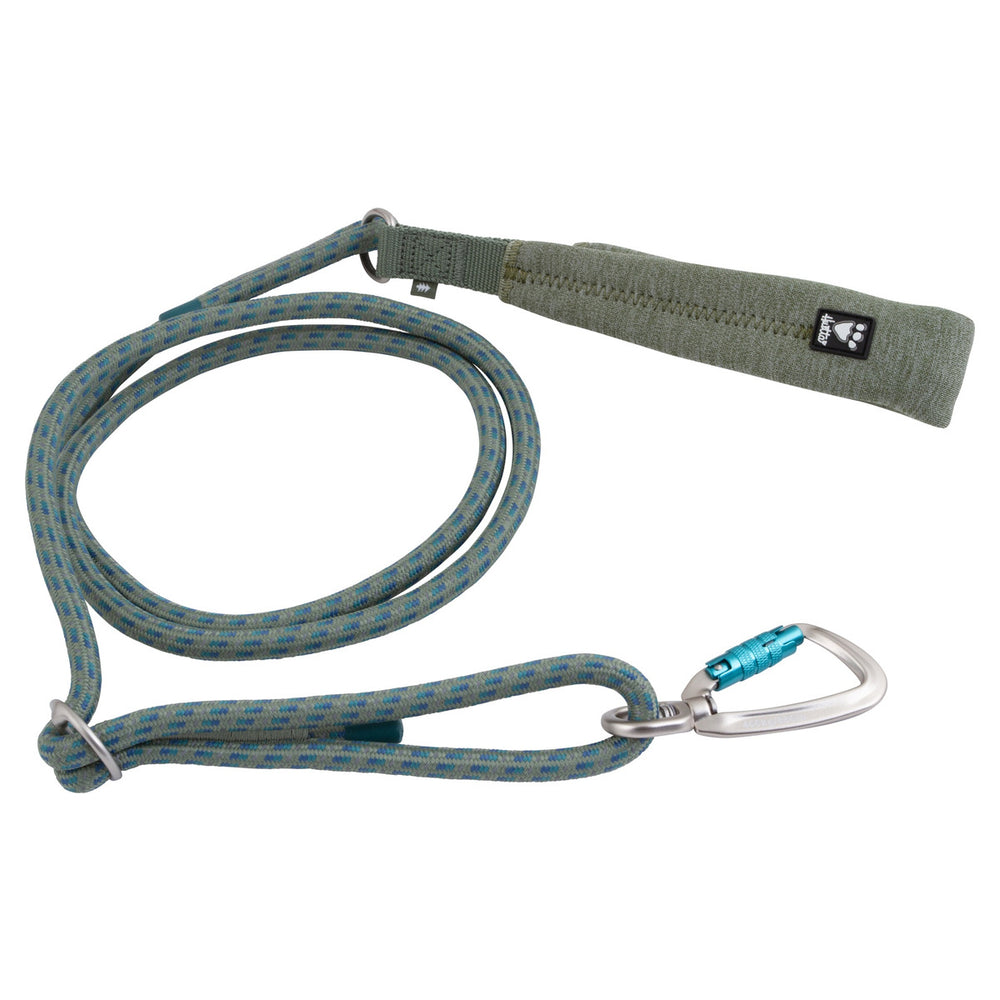 Blaue-grüne Hundeleine aus robustem Material mit gepolstertem Griff und Metallkarabiner mit blauem Verschluss.