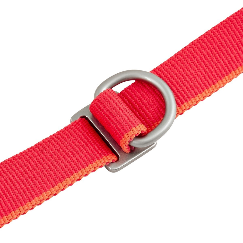 Rote Nylon-Hundeleine Multilong Leash II mit silberner Metallschnalle, D-Ring, robust und langlebig für Hunde geeignet.