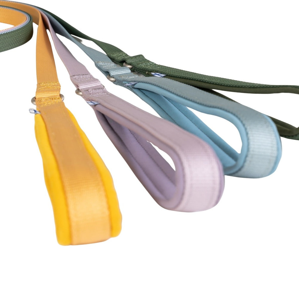 Bunte Hundeleinen in Gelb, Lila, Grün, Blau und Orange mit Schlaufen, ansprechend nebeneinander angeordnet.