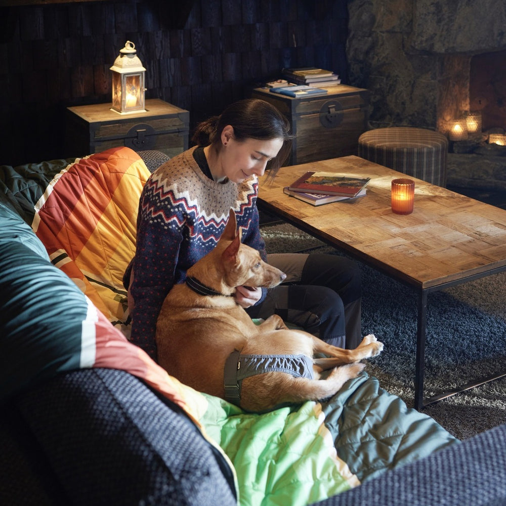 Person mit Hund auf Schoß in gemütlichem Raum, Bücher und Kerze auf Tisch, Fokus auf Hygienehöschen Breezy Hygiene Pants ECO.