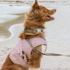 Hund mit rosa Kühlweste und Leine am Strand, schaut seitlich; Wasser und Sand im Hintergrund. Ideal zur Hundeabkühlung.