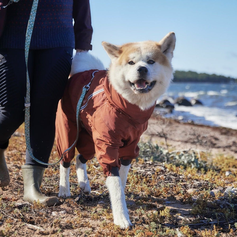 Hund im braunen Regen-Overall Mudventure ECO läuft am Strand neben einer Person mit Gummistiefeln und Leine, Meer im Hintergrund.