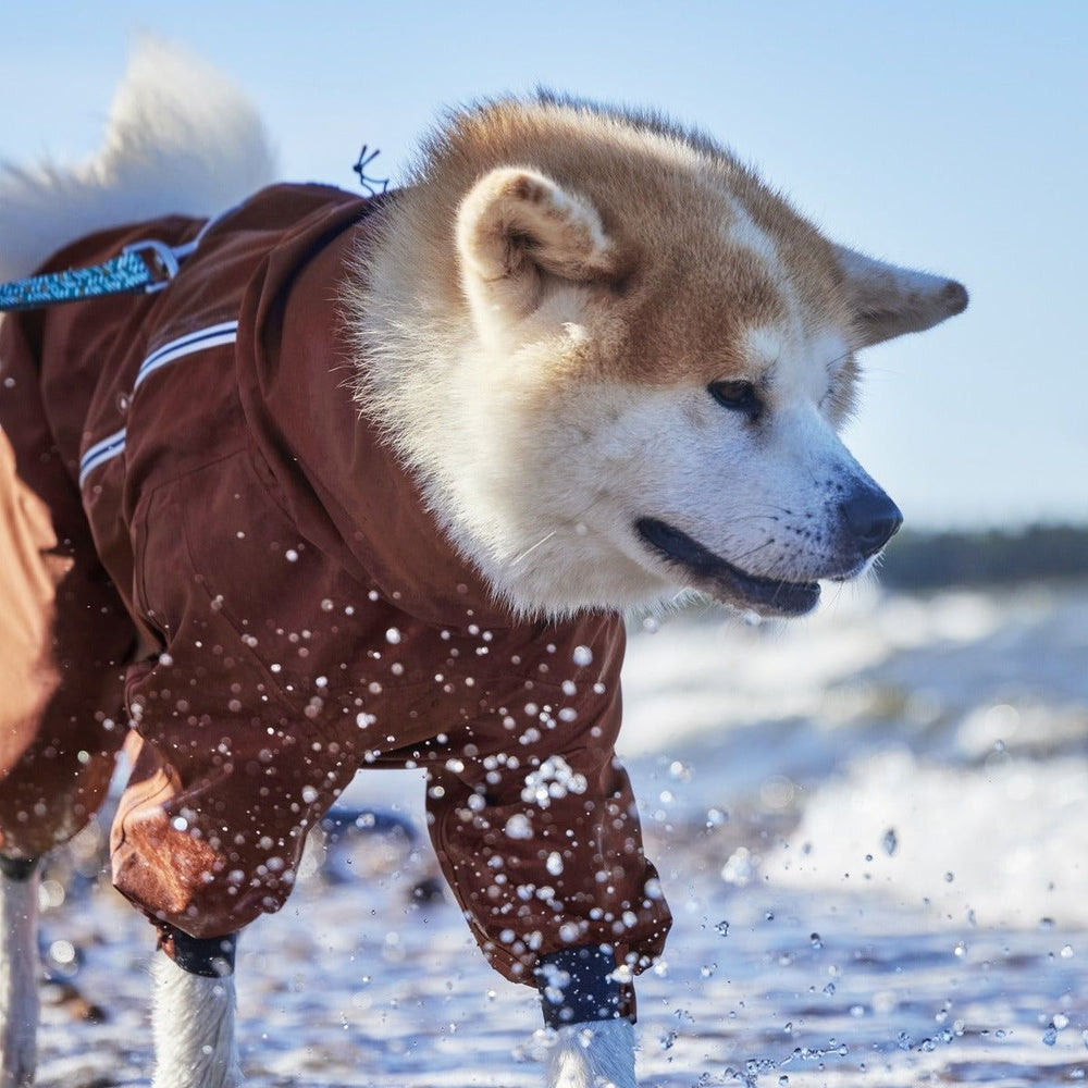Hund im braunen Regen-Overall Mudventure ECO am Strand im Wasser spielend, bei spritzender Gischt und Horizont im Hintergrund.