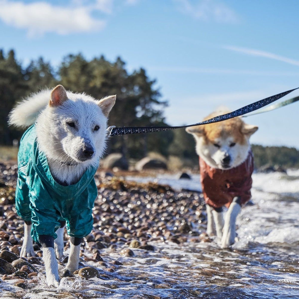 Hunde tragen Regen-Overalls in Türkis und Rot am Gewässerufer bei klarem Himmel, Mudventure Overall ECO, wasserdicht.