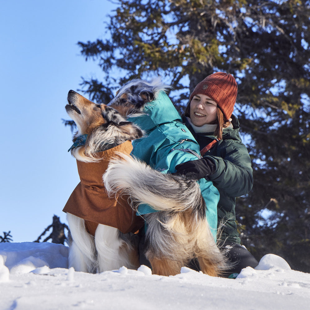 Person im Monsoon Coat II ECO spielt mit Hunden im Schnee, sonniger Wintertag, Himmel blau, Hunde in braunen und türkisen Mänteln.