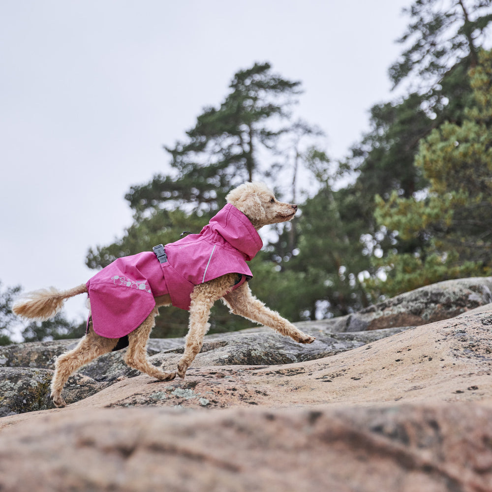Hund trägt pinken Regenmantel Monsoon Coat II ECO auf felsigem Gelände bei bewölktem Wetter mit Bäumen im Hintergrund.