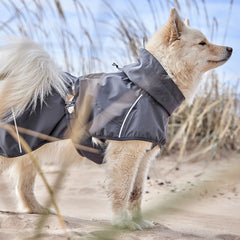 Hund mit dunkelgrauem Regenmantel und Kapuze auf sandigem Untergrund; umweltfreundlicher Mudventure Coat ECO.