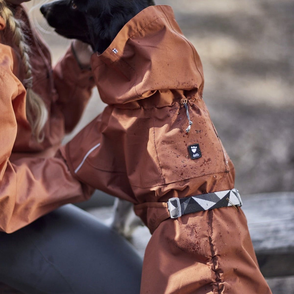 Hund mit rostbraunem Regenmantel Mudventure Coat ECO, wasserabweisend, mit Logo-Aufnäher, im Freien neben Mensch mit passender Jacke.