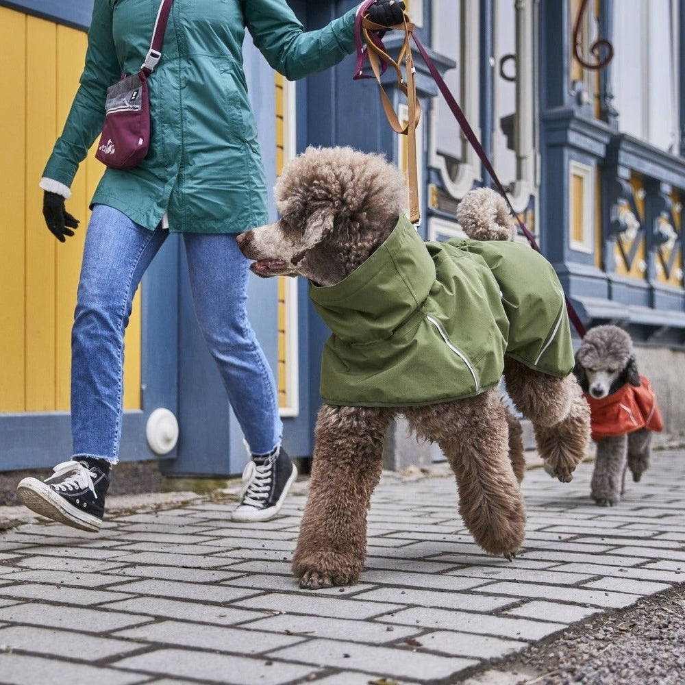 Person geht mit zwei Pudeln spazieren; größerer Hund trägt grünen, kleinerer Hund roten Mantel.