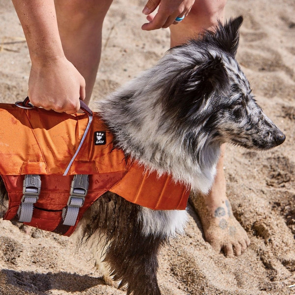 Hund mit oranger Schwimmweste Life Savior ECO mit grauen Schnallen, Griff, im Hintergrund Sand; optimale Schwimmsicherheit für Hunde.