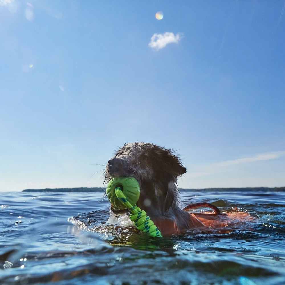 Hund mit oranger Schwimmweste Life Savior ECO beim Schwimmen, grünes Spielzeug im Maul, klarer blauer Himmel im Hintergrund