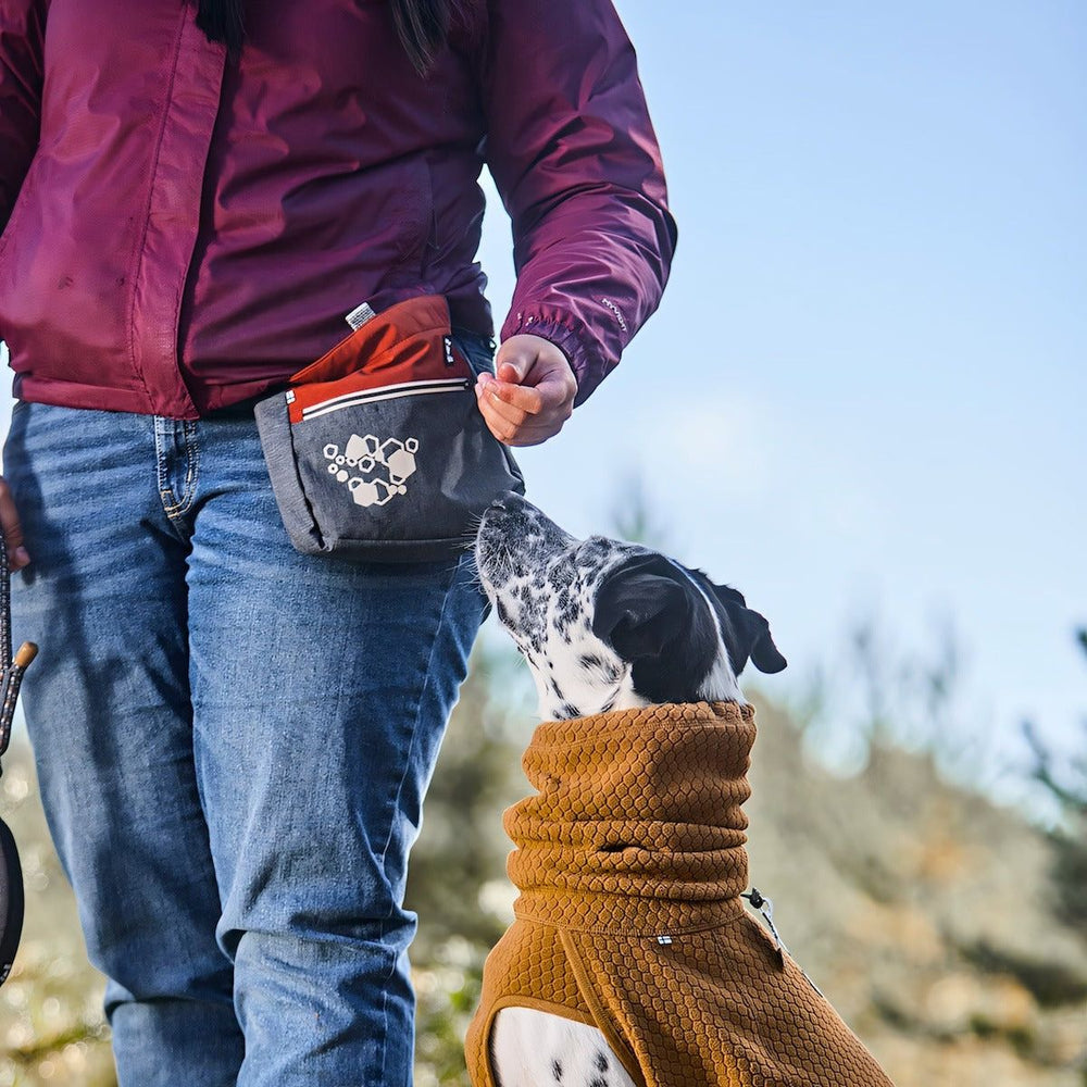 Person in Jeans trägt ECO Snackbeutel, Hund im strukturierten Mantel zeigt Interesse an Leckerli.