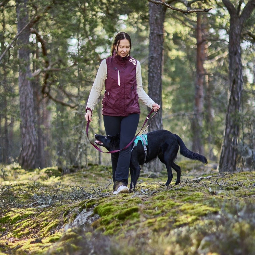 Frau in burgunderfarbener Weste und schwarzer Hose spaziert mit Hund im Wald, umgeben von moosbedeckten Bäumen.