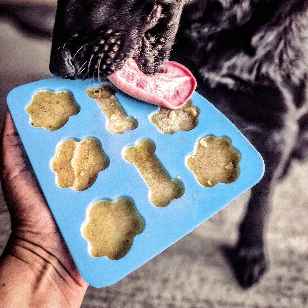 Hand hält blaue Silikon-Eiswürfelform mit Hundeleckerlis, im Hintergrund wartet ein Hund gespannt.