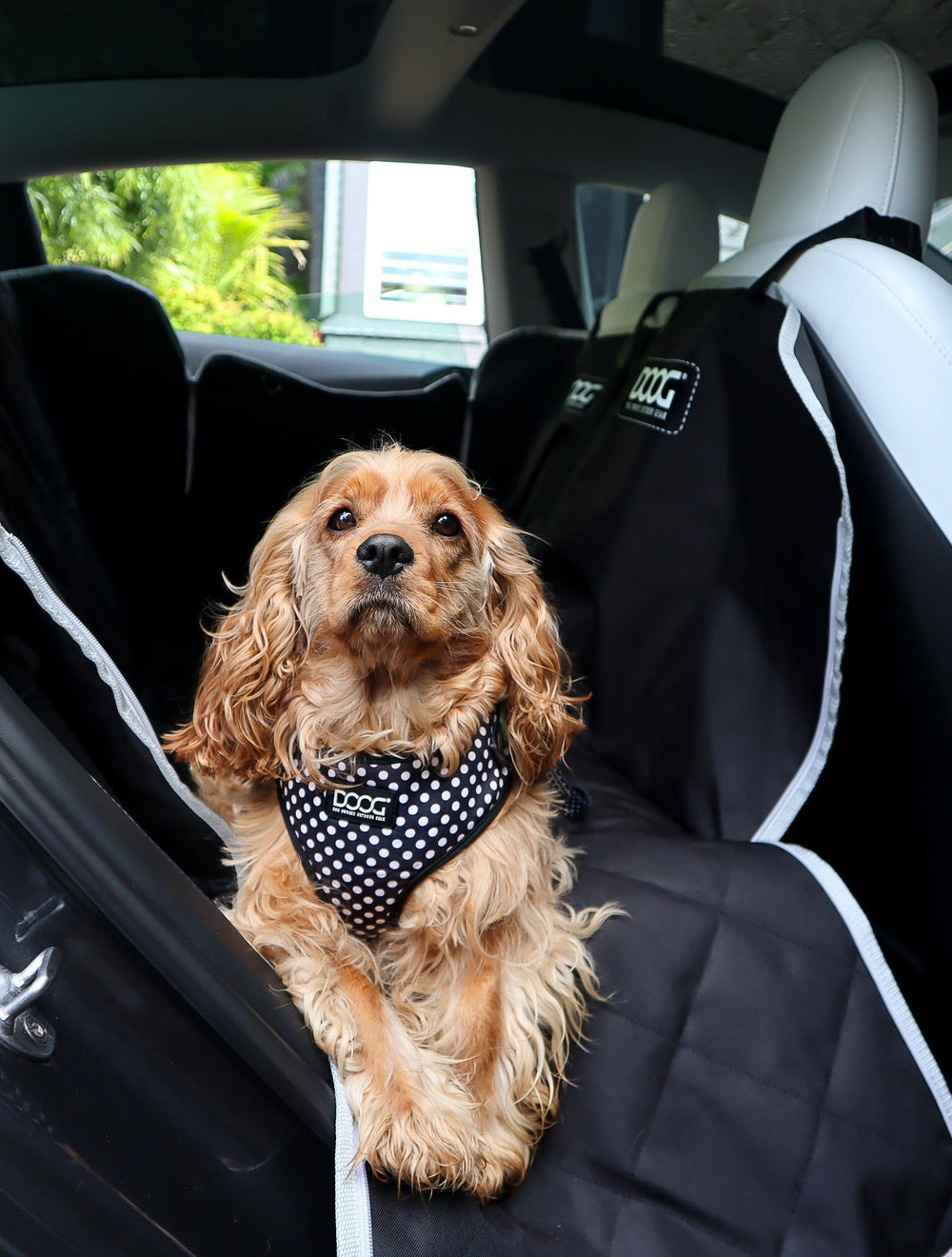 "Ein Hund im gepunkteten Geschirr sitzt auf einem geschützten Autositz mit Dunkelheit im Innenraum."
