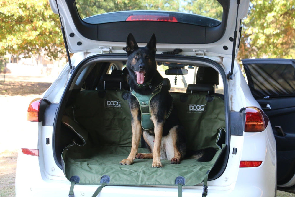 Schwarzer und brauner Hund im Kofferraum eines Autos, umgeben von grüner Decke und Bäumen im Hintergrund.