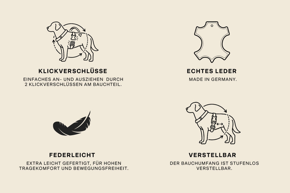 "Ledergeschirr Mini für Hunde mit Klickverschlüssen für einfache Handhabung."